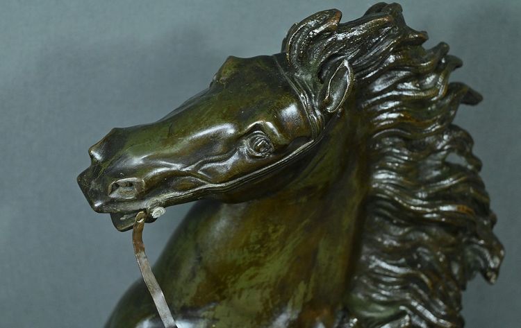 Large bronze "Le Cheval de Marly" after Coustou - Early 20th century