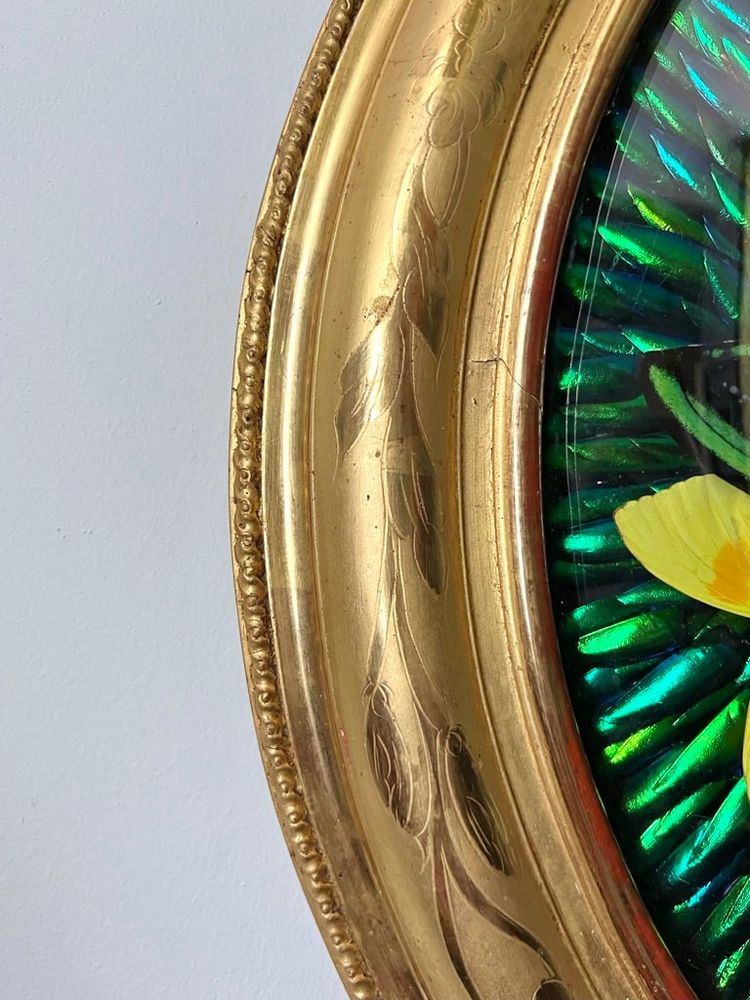 Ovaler Rahmen Holz Vergoldet Blatt Gold - Cabinet Curiosités - Schmetterlinge - Napoleon III - 19.