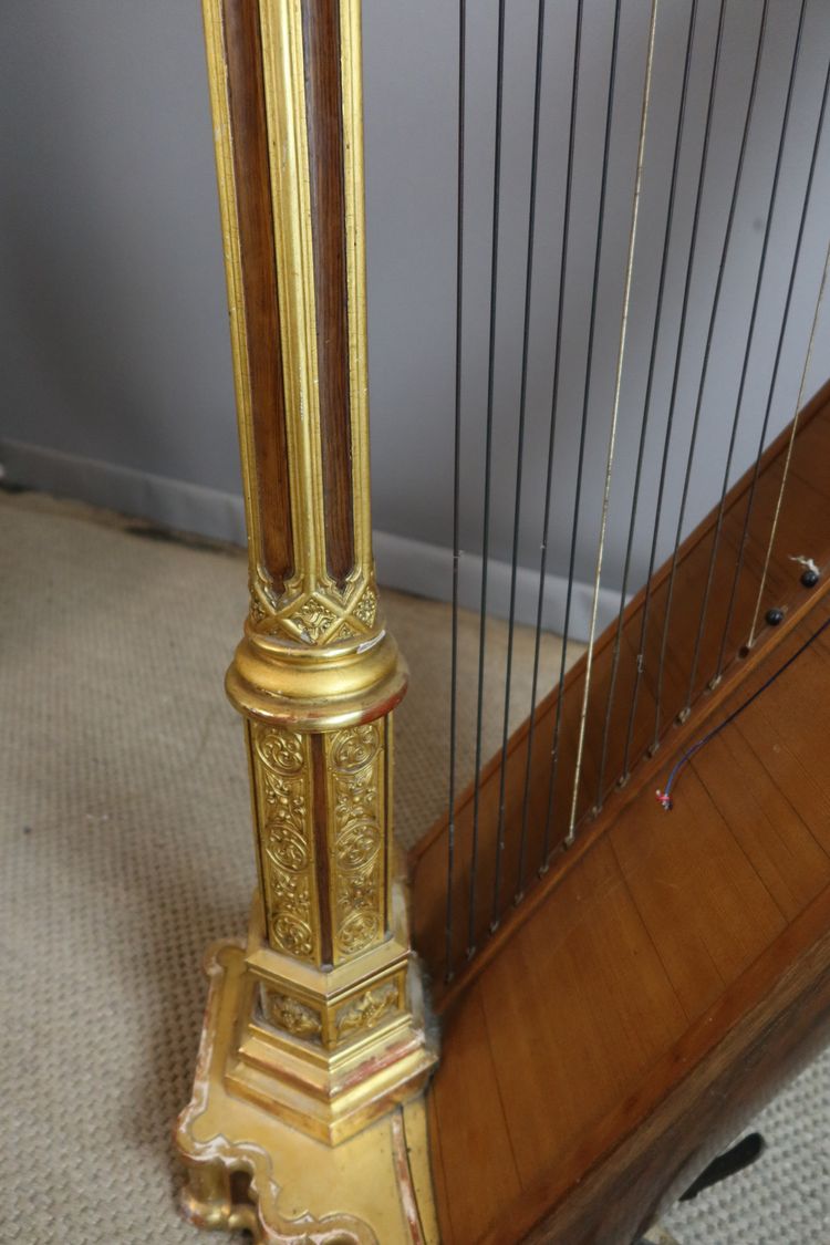 HARPE HERARD 
