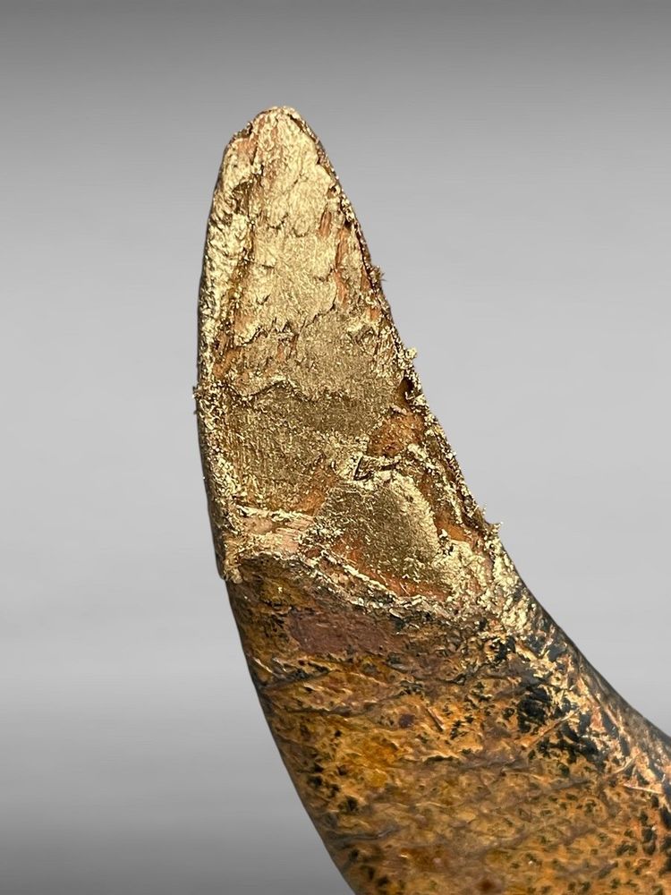 Kabuto da samurai in ferro battuto - Periodo Edo (1603-1868).