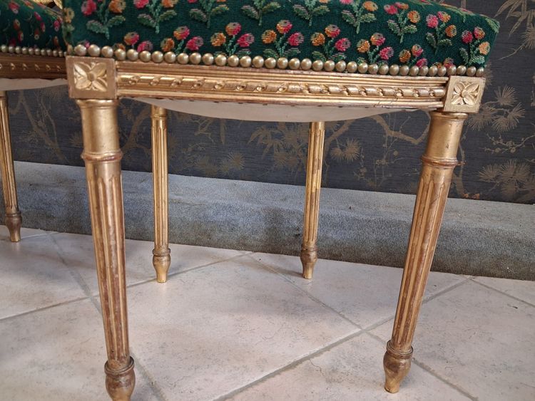 Coppia di sedie in legno dorato stile Luigi XVI XIX