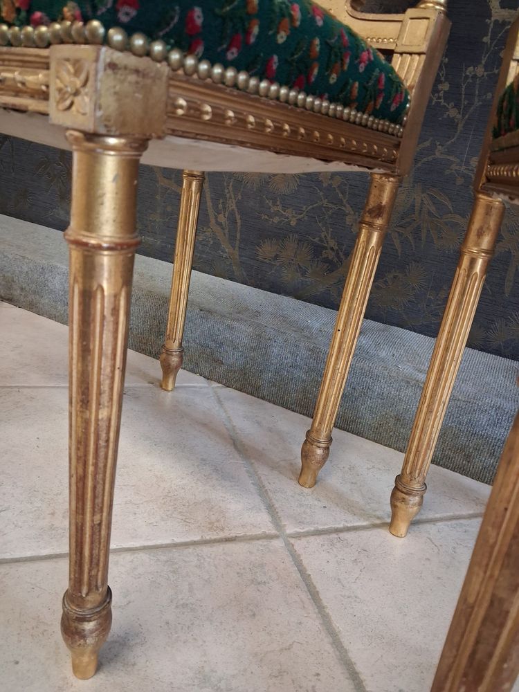 Coppia di sedie in legno dorato stile Luigi XVI XIX