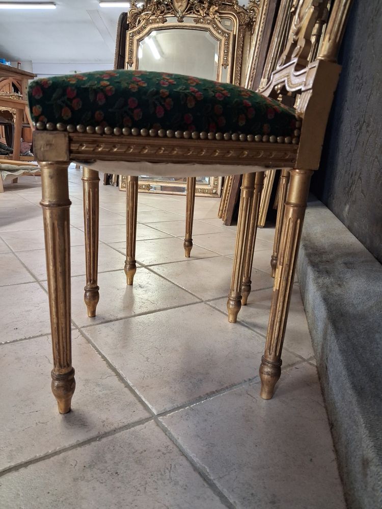 Coppia di sedie in legno dorato stile Luigi XVI XIX