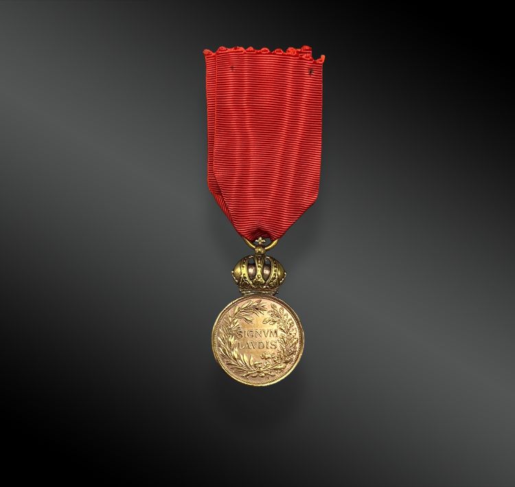 Medaglia al Merito Militare, SIGNUM LAUDIS. Austria, dal 1890