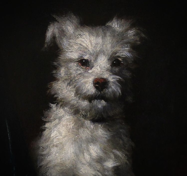Peinture à l'huile sur toile " Petit chien blanc " datée de 1881
