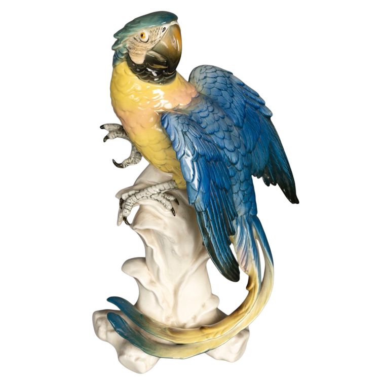Un sujet en porcelaine sculpture de perroquet, Allemagne XXème siècle 