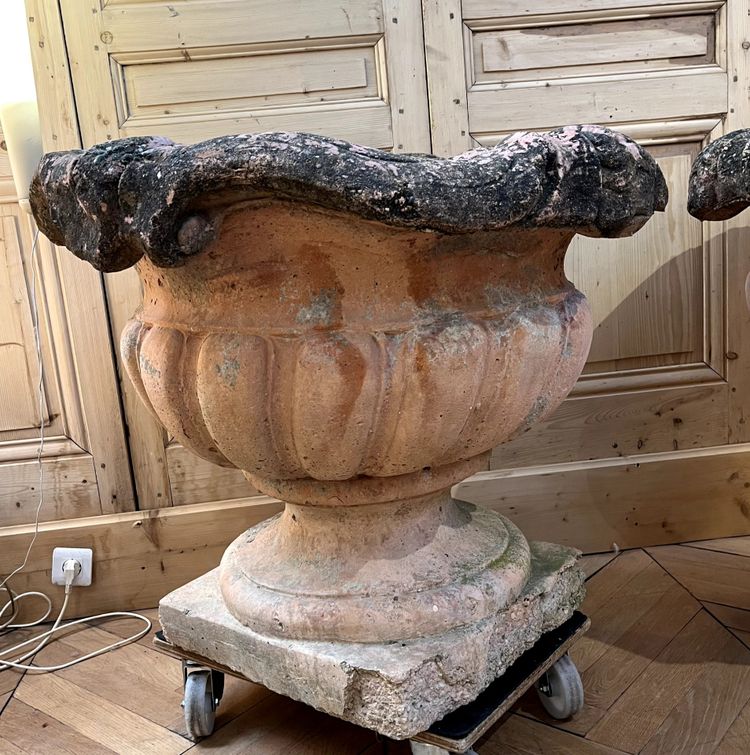 Monumental pair of terracotta planters or orange tree pots with cement base.