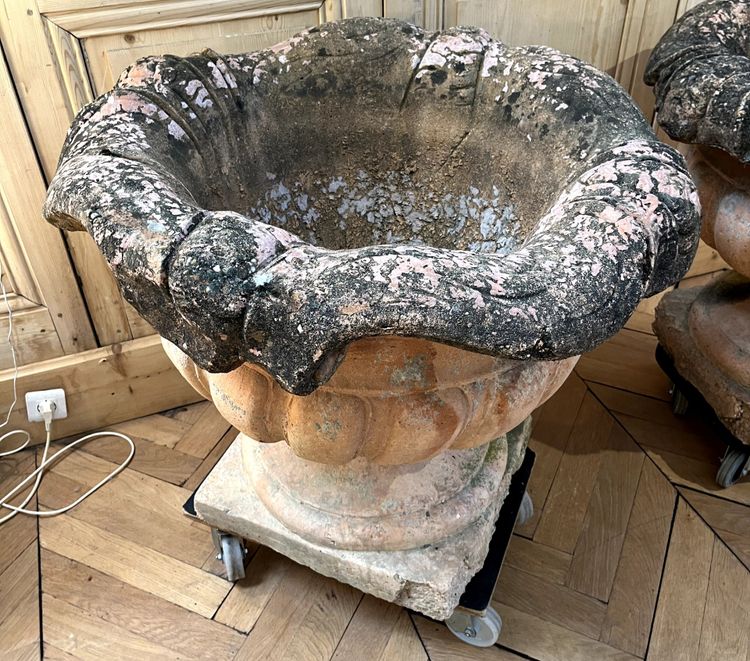 Monumental pair of terracotta planters or orange tree pots with cement base.