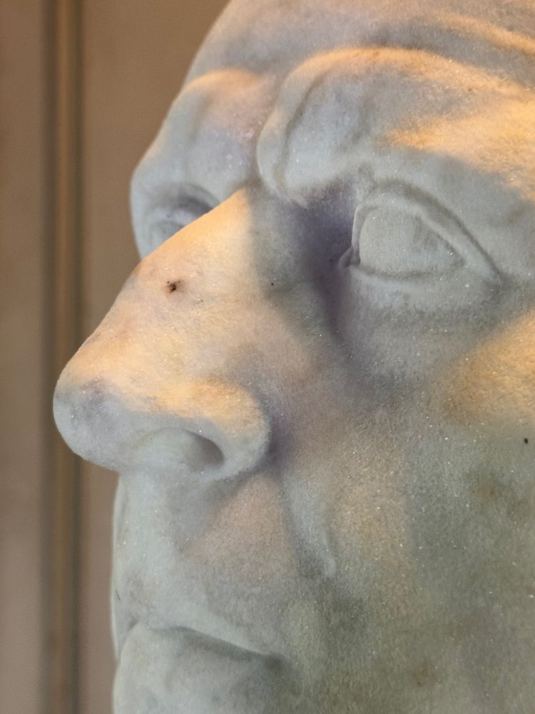Buste De L’empereur Galba, Marbre Blanc De Carrare, XVIIIème Siècle