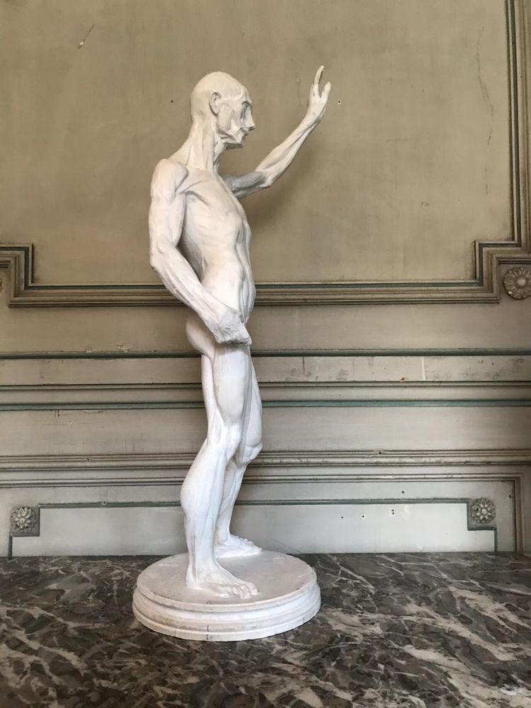 Scorticato e ricoperto di gesso