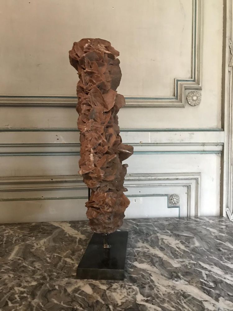 Rose Des Sables Soclée