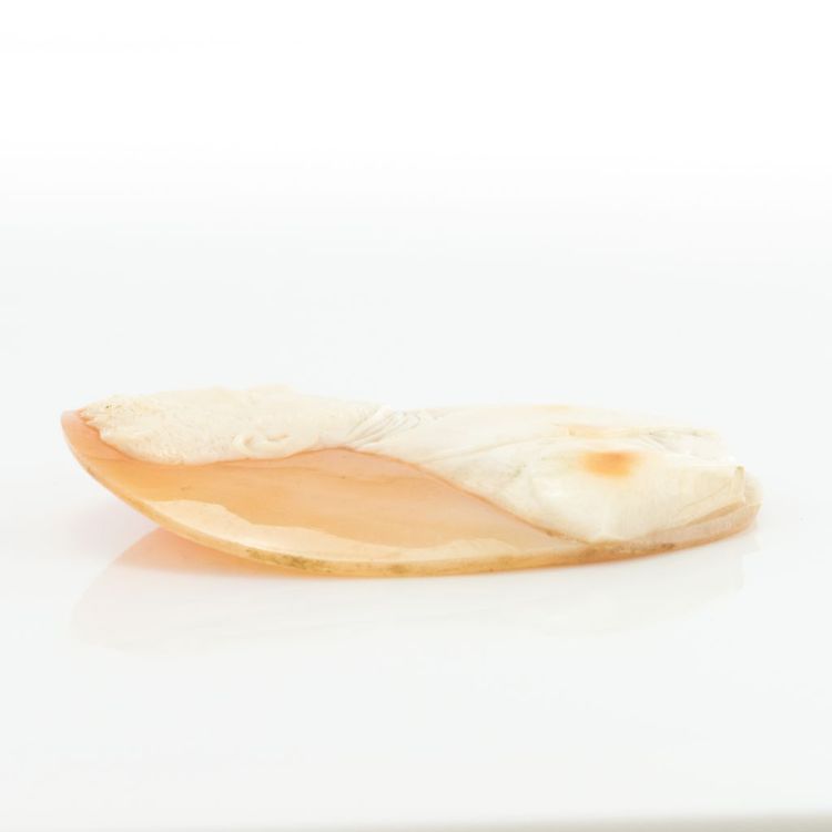 Cameo Old On Shell Gentleman