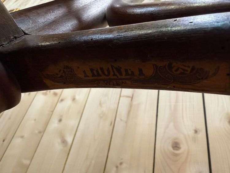 Coccole - pappagallo in legno curvo