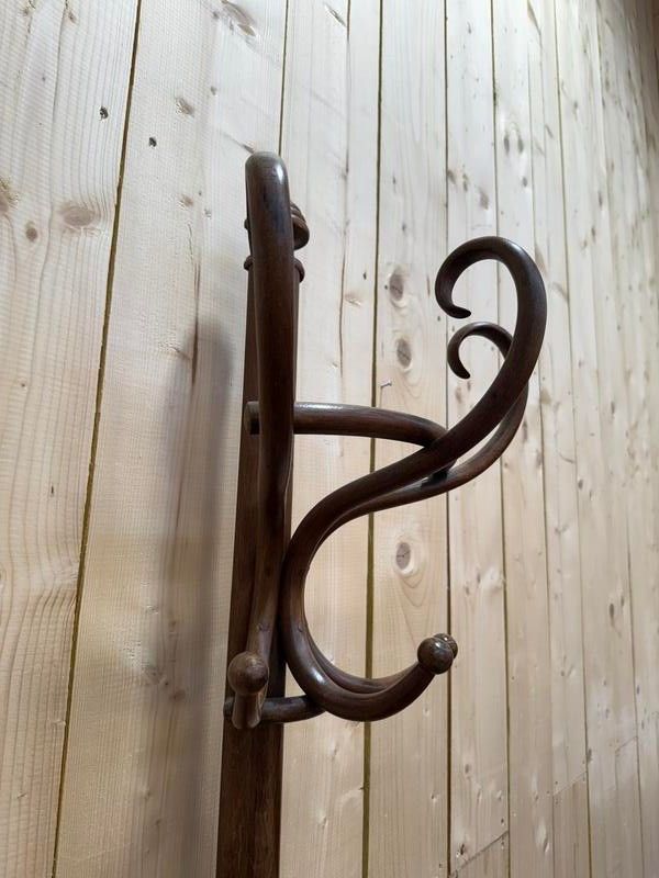 Coccole - pappagallo in legno curvo