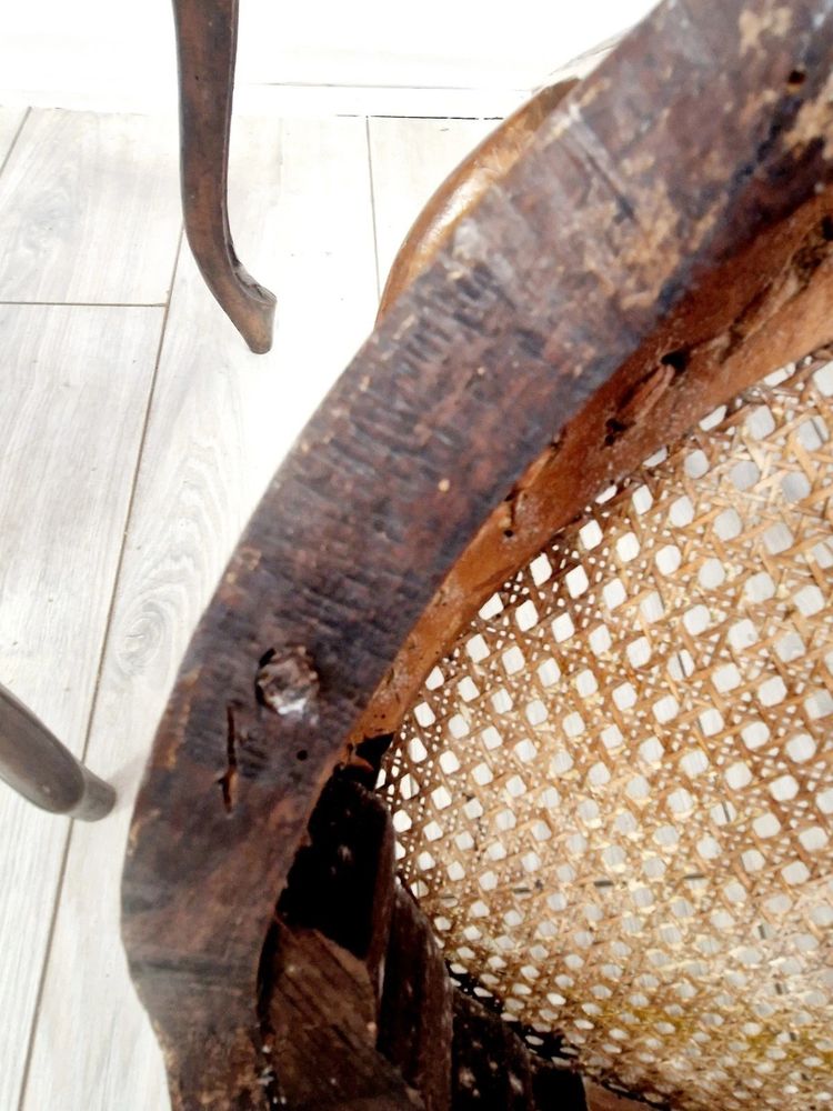 Antique French rattan armchairs from the Louis XVI period