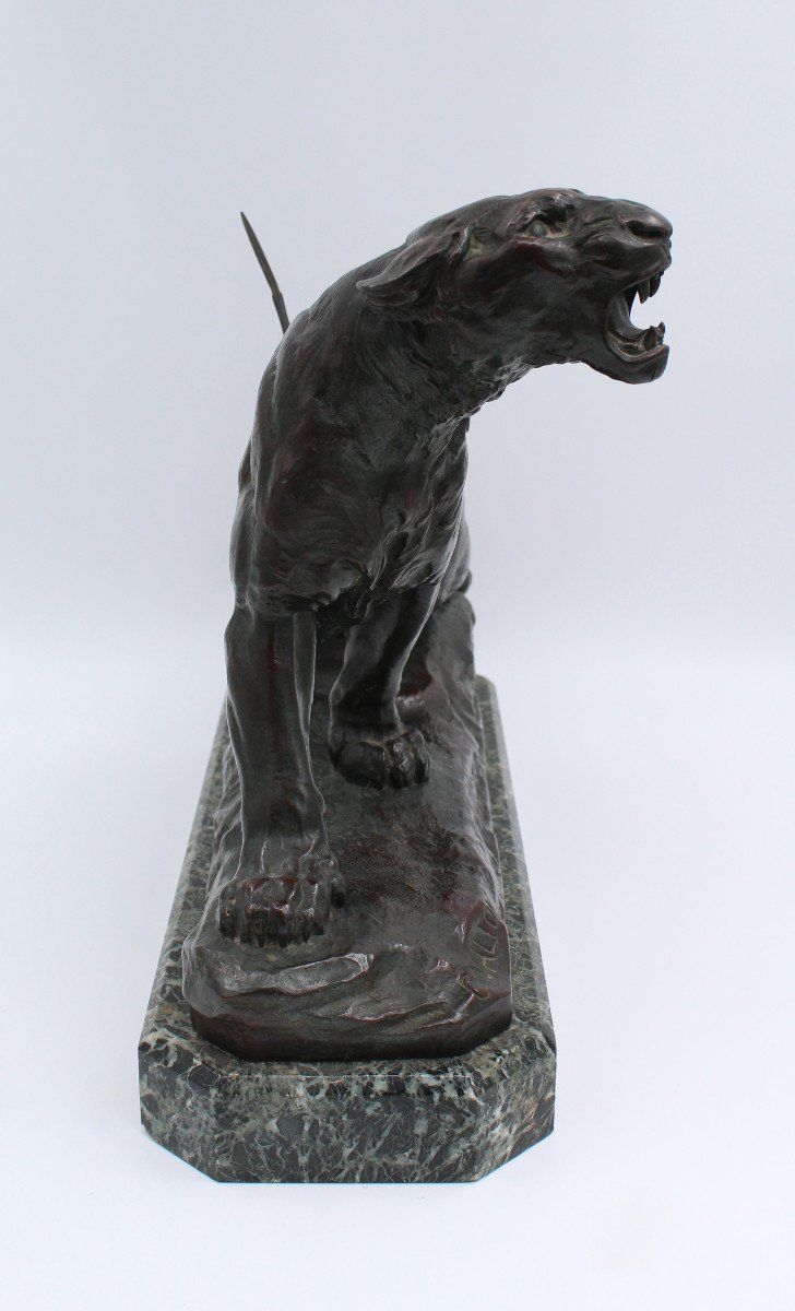 Large Bronze "The Wounded Lioness" by Charles Valton (1851-1918)