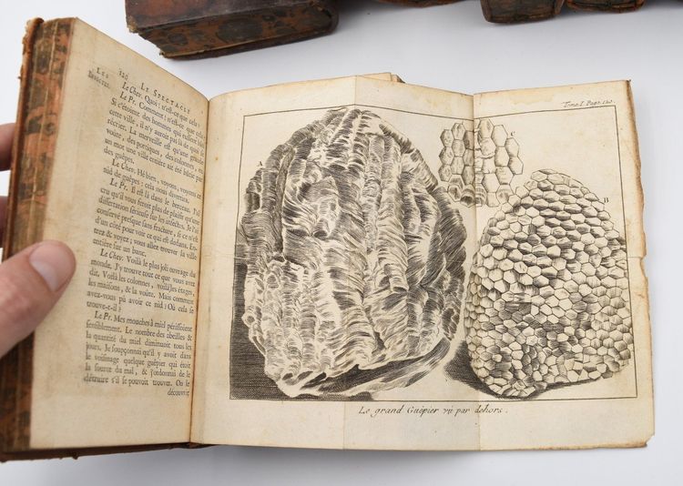 Bücher 1768 Das Schauspiel der Natur Pluche Noel Antoine Herausgegeben von Veuve Estienne