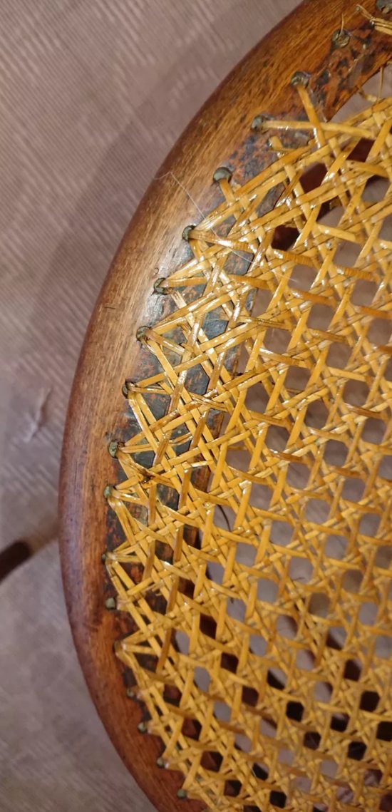 Chaises Oméga Mickael Thonet