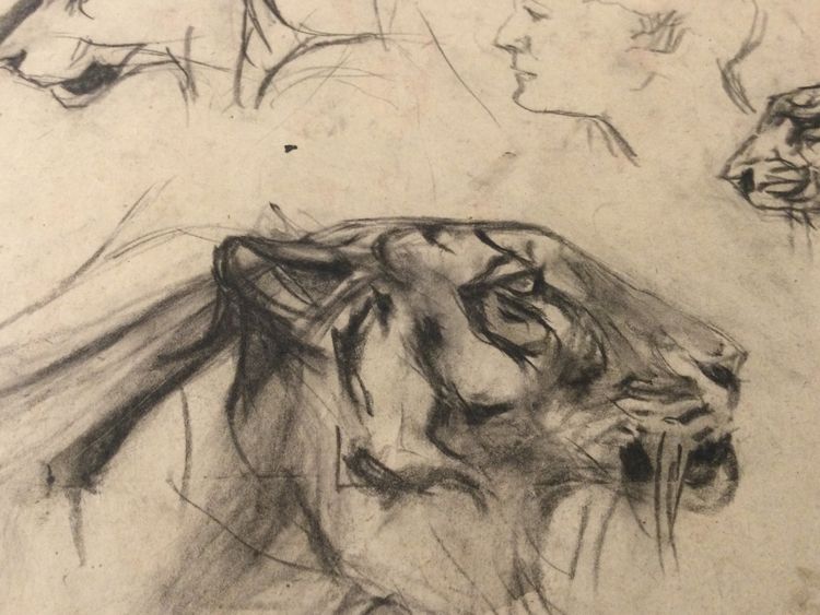Drawing by René Hérisson