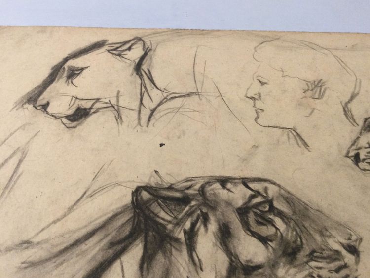 Drawing by René Hérisson