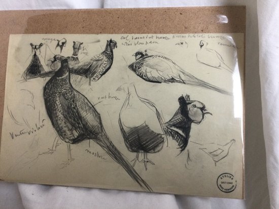 Drawing by René Hérisson
