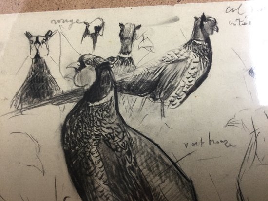 Drawing by René Hérisson