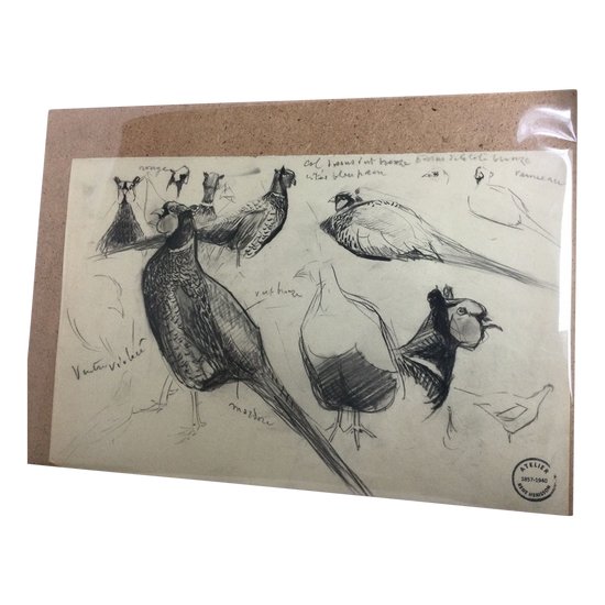 Drawing by René Hérisson