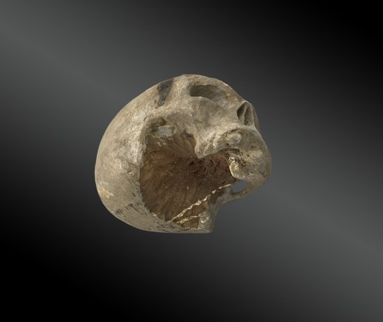 Vanity, Skull In Carved And Lacquered Wood. XVIIIth