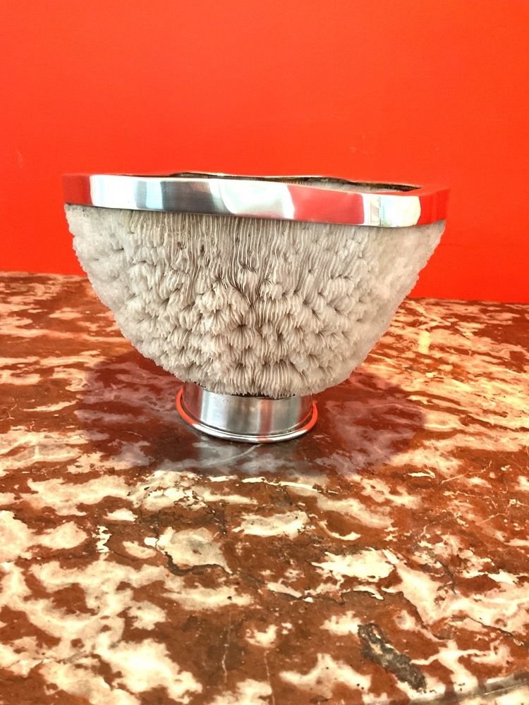 Important Coral Bowl Set with a Silver Metal Border