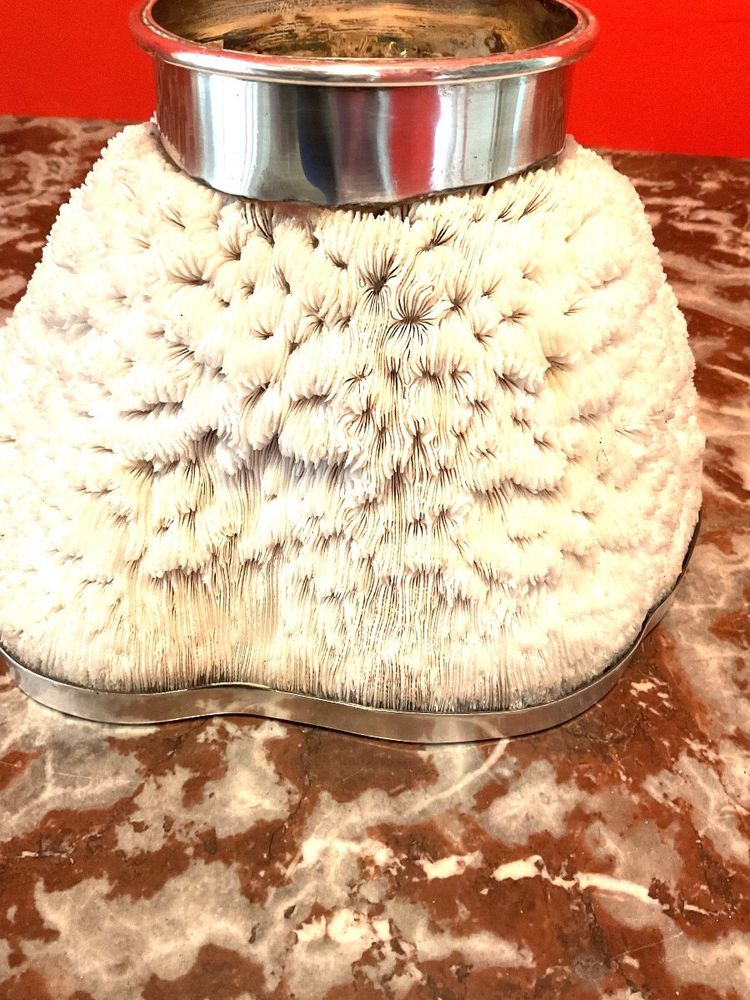 Important Coral Bowl Set with a Silver Metal Border