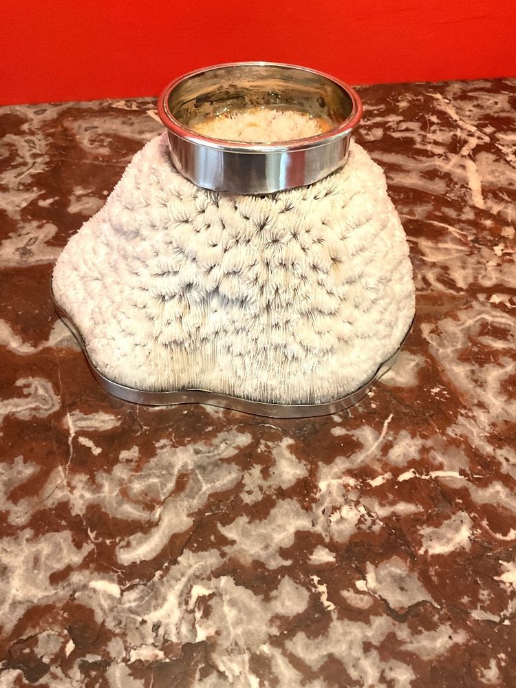 Important Coral Bowl Set with a Silver Metal Border