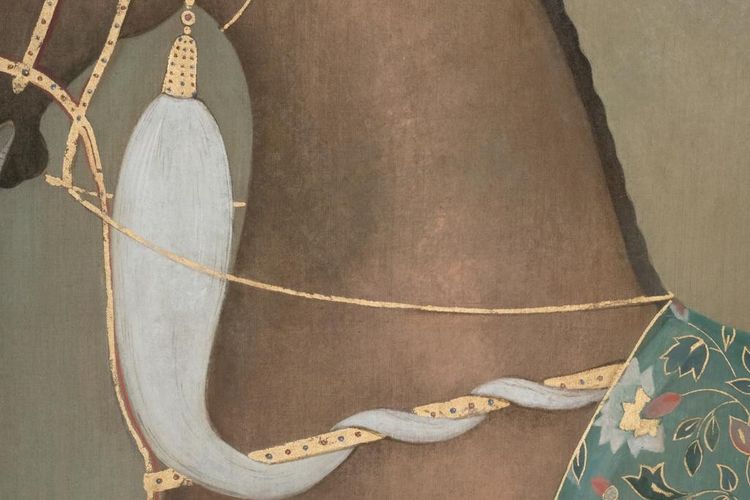 Tela dipinta raffigurante un cavallo indiano di profilo. Opera contemporanea. LS6505B1086