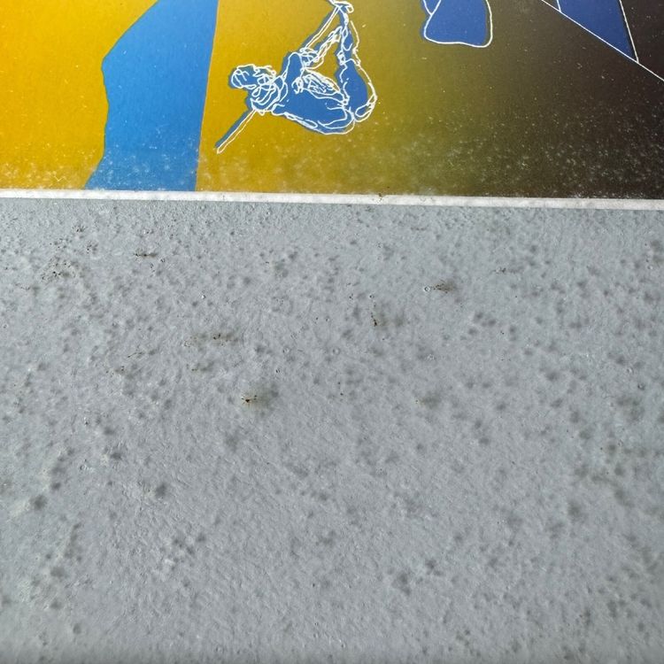 Acquerello di Delacoux, XX secolo, cornice dorata