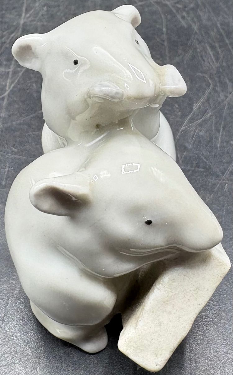 SUBJECT MOUSE