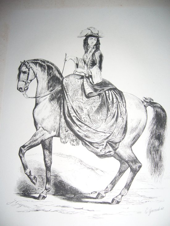 Auf Reiten und Gestüten von Graf Savary de Lancosmes- Breves 1843