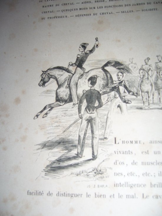 Auf Reiten und Gestüten von Graf Savary de Lancosmes- Breves 1843