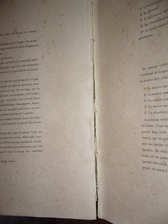 Auf Reiten und Gestüten von Graf Savary de Lancosmes- Breves 1843