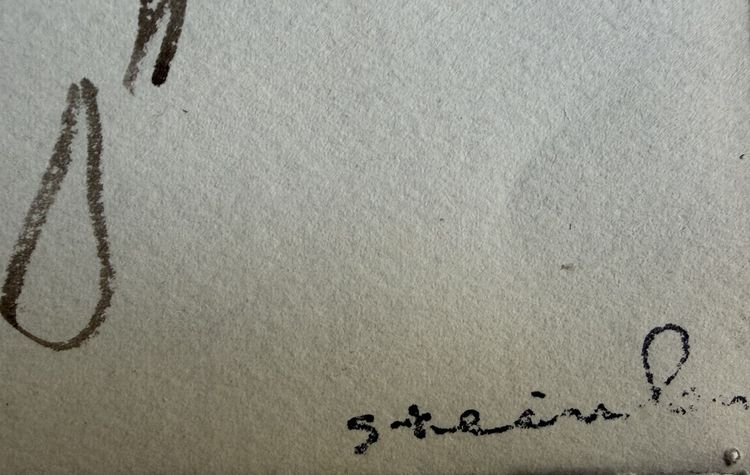 Steinlen, Portrait of Zo d'Axa, 1921, ink