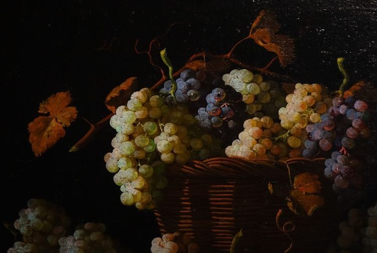 HST Still Life with Grapes