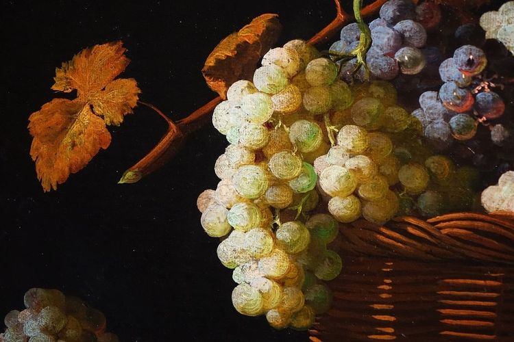 HST Still Life with Grapes