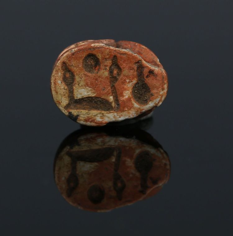 Scarabeo reale di Neferkarê (Shabaka) in steatite – XXV dinastia – con certificato di autenticità