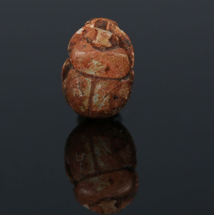 Scarabeo reale di Neferkarê (Shabaka) in steatite – XXV dinastia – con certificato di autenticità