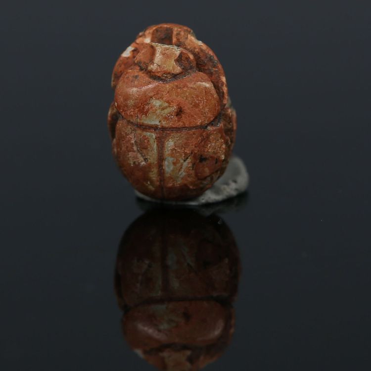 Scarabeo reale di Neferkarê (Shabaka) in steatite – XXV dinastia – con certificato di autenticità
