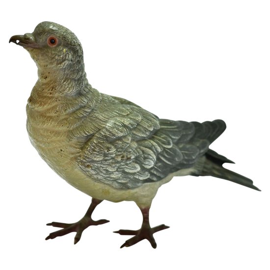             Pigeon Biset Bronze De Vienne taille réelle Geschultz époque XIXème            