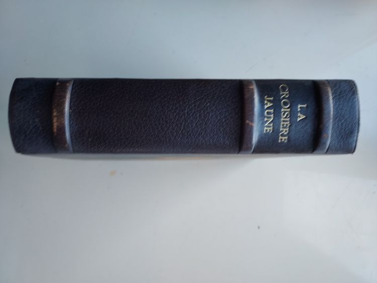 Die Gelbe Kreuzfahrt