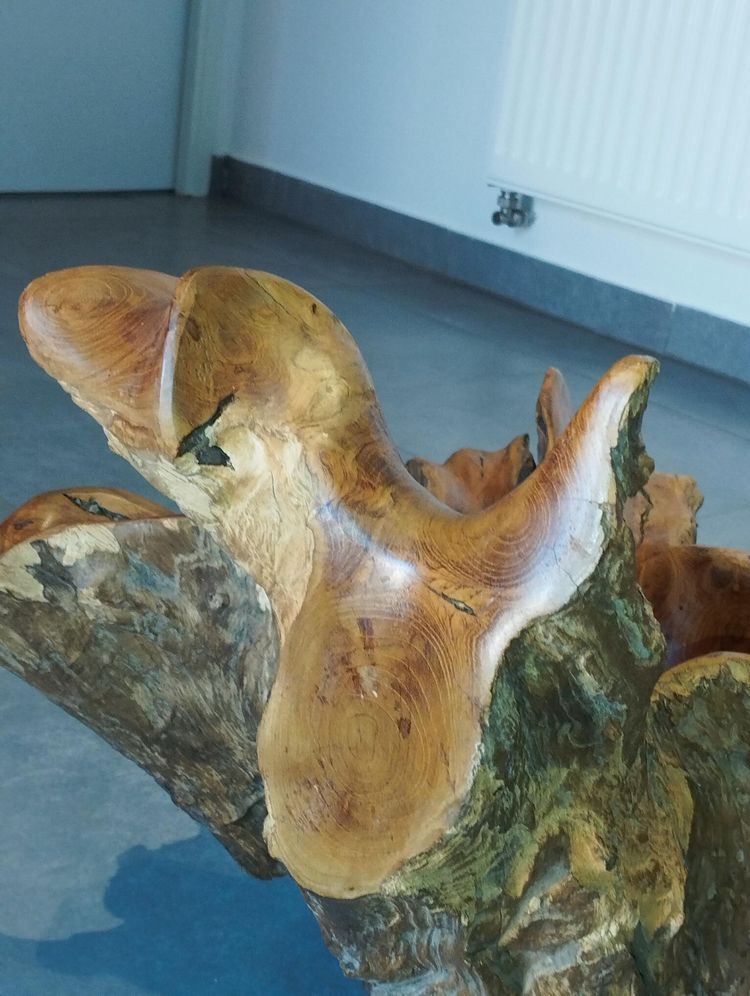 Skulpturales Mittelstück aus Holz, organisch geschnitten, brutalistisch.