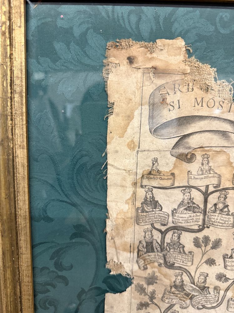 Antique canvas engraving, Family tree of the King of Portugal, 16th century, 92x72cm.