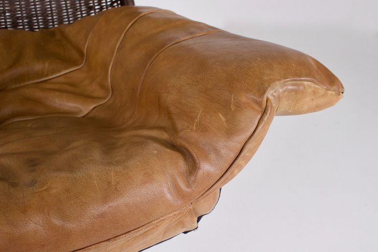 Fauteuil Pivotant en Rotin et Cuir par Gerard Van Den Berg
