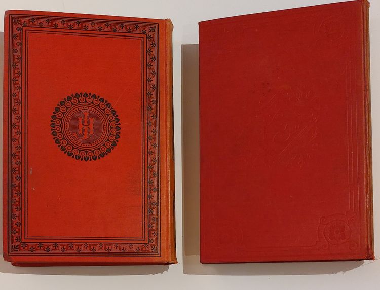 Jules Verne: 2 Bücher in Perkalineinband des Verlags, eines mit einem Elefanten und das andere mit einem Leuchtturm auf der Rückseite