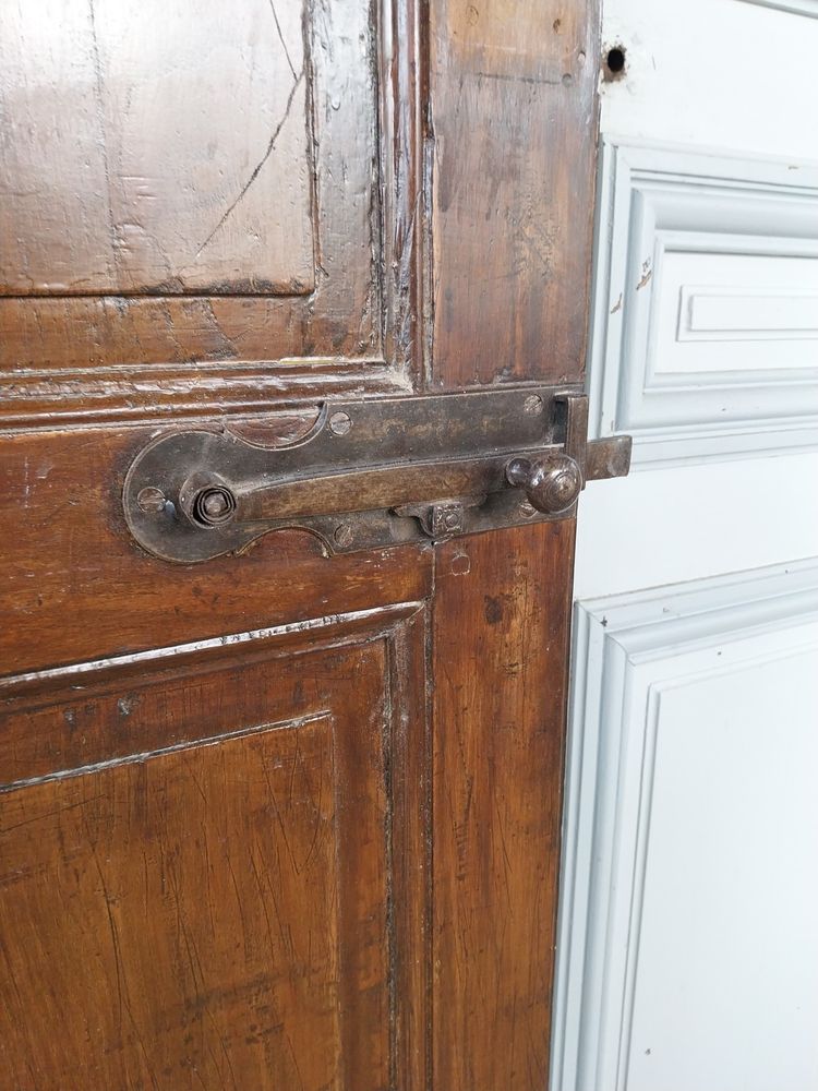 4 19th century antique doors - 4 panels